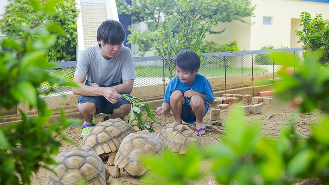 【お子様に大人気☆もぐもぐピクニック滞在中1回ご招待】動物達にごはんを上げて生態観察しよう＜2食付＞