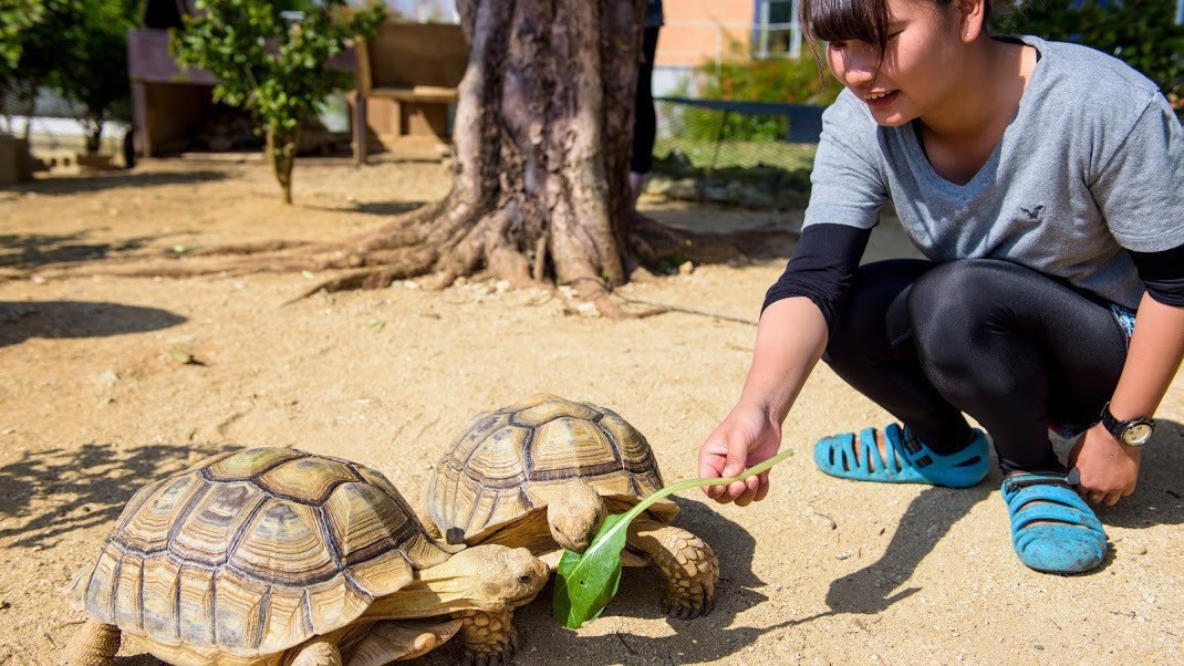 【お子様に大人気☆もぐもぐピクニック滞在中1回ご招待】動物達にごはんを上げて生態観察しよう＜朝食付＞