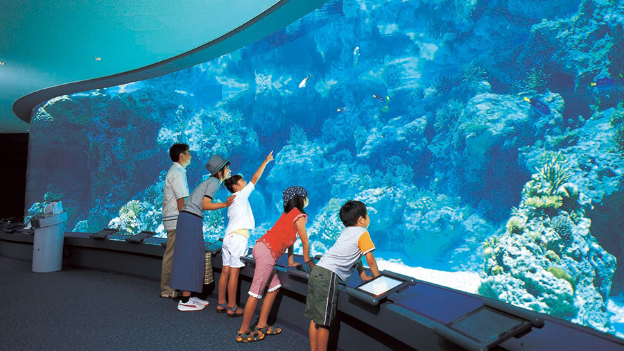 沖縄美ら海水族館