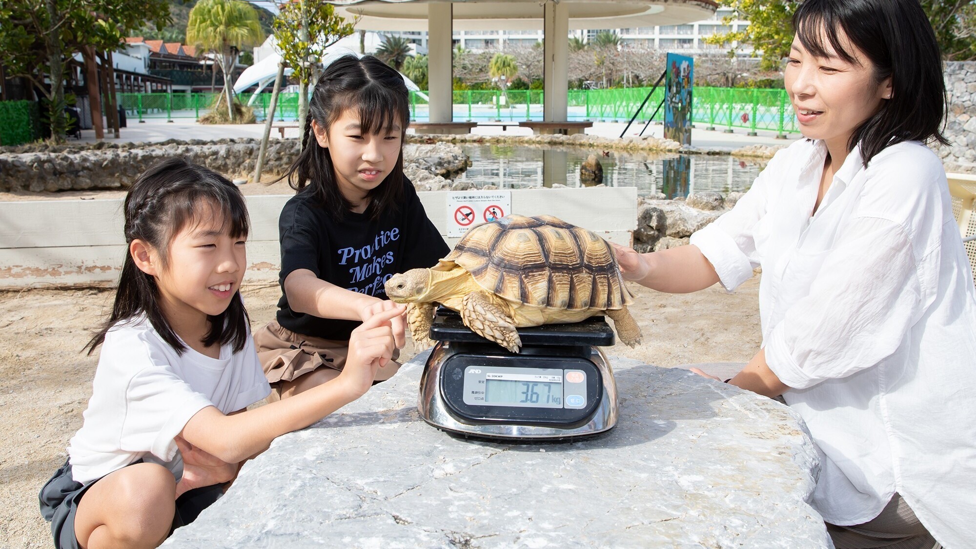 リクガメキーパー
