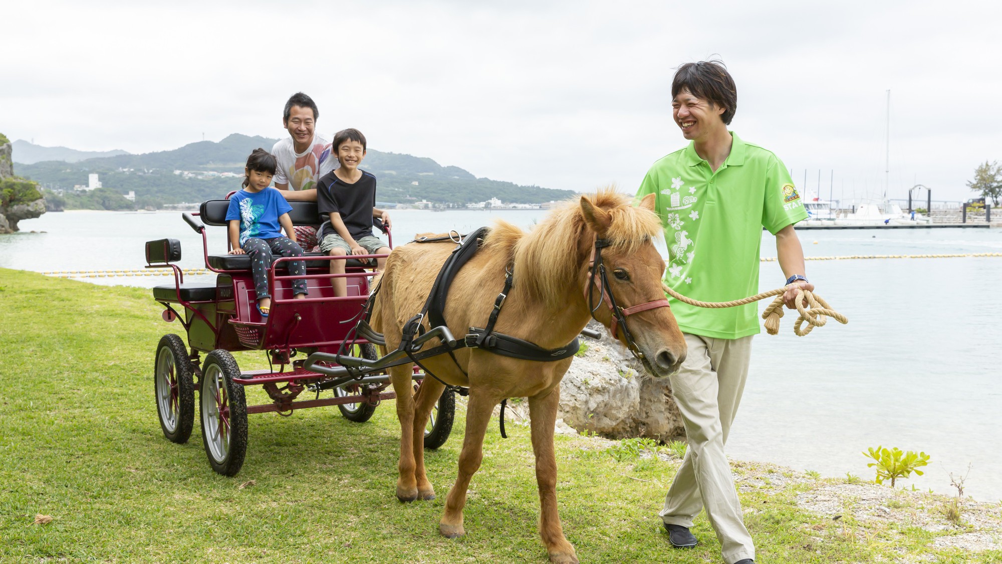 ヨナグニウマ馬車