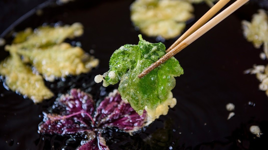 野草を食べよう