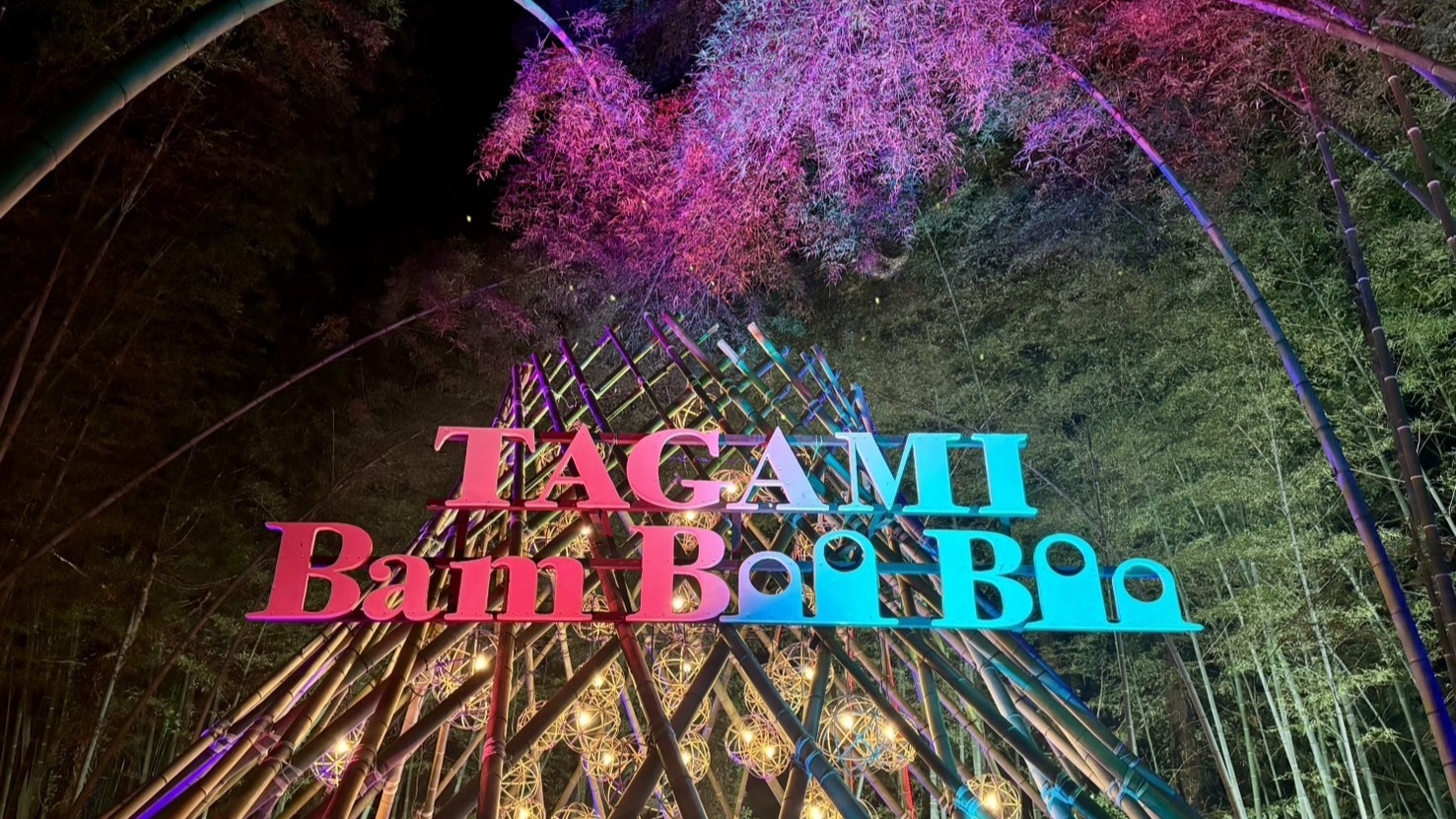 【バンブーブー専用】期間限定★幻想の竹林ライトアップと温泉の癒し旅★夕食はお部屋または個室