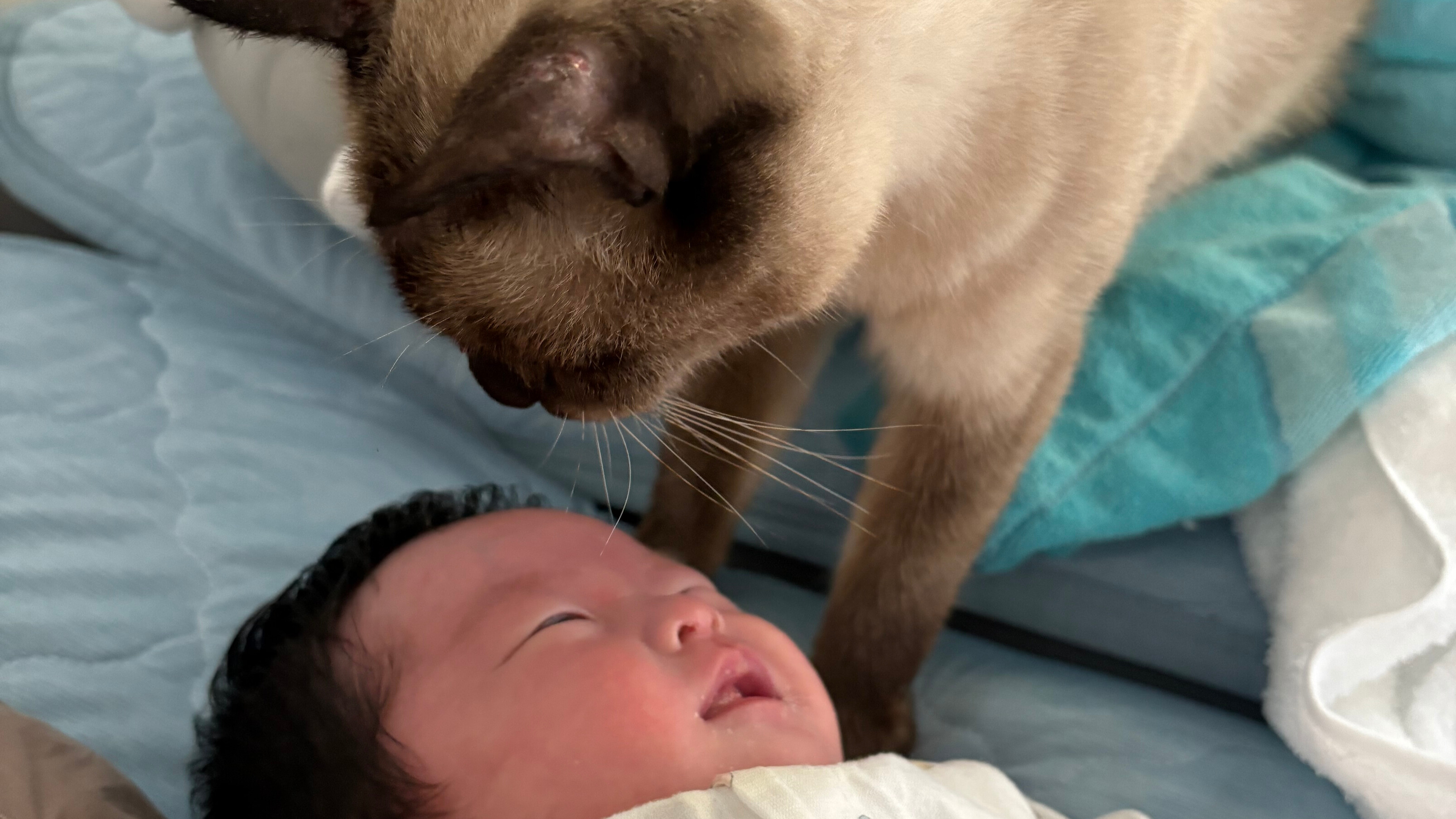 【テト】見守り隊♡