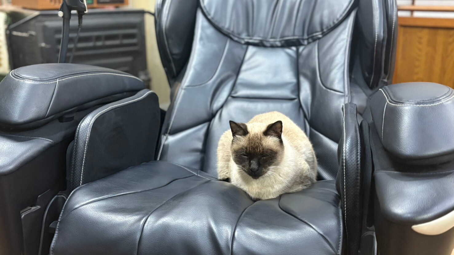 【テト】マッサージ中