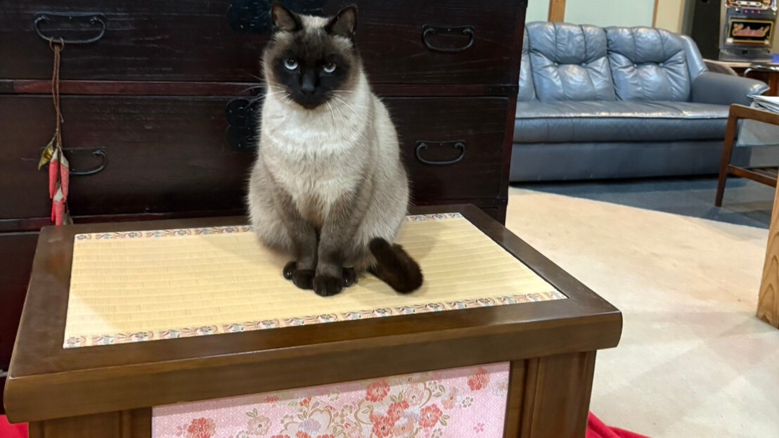 【テト】置きものみたい