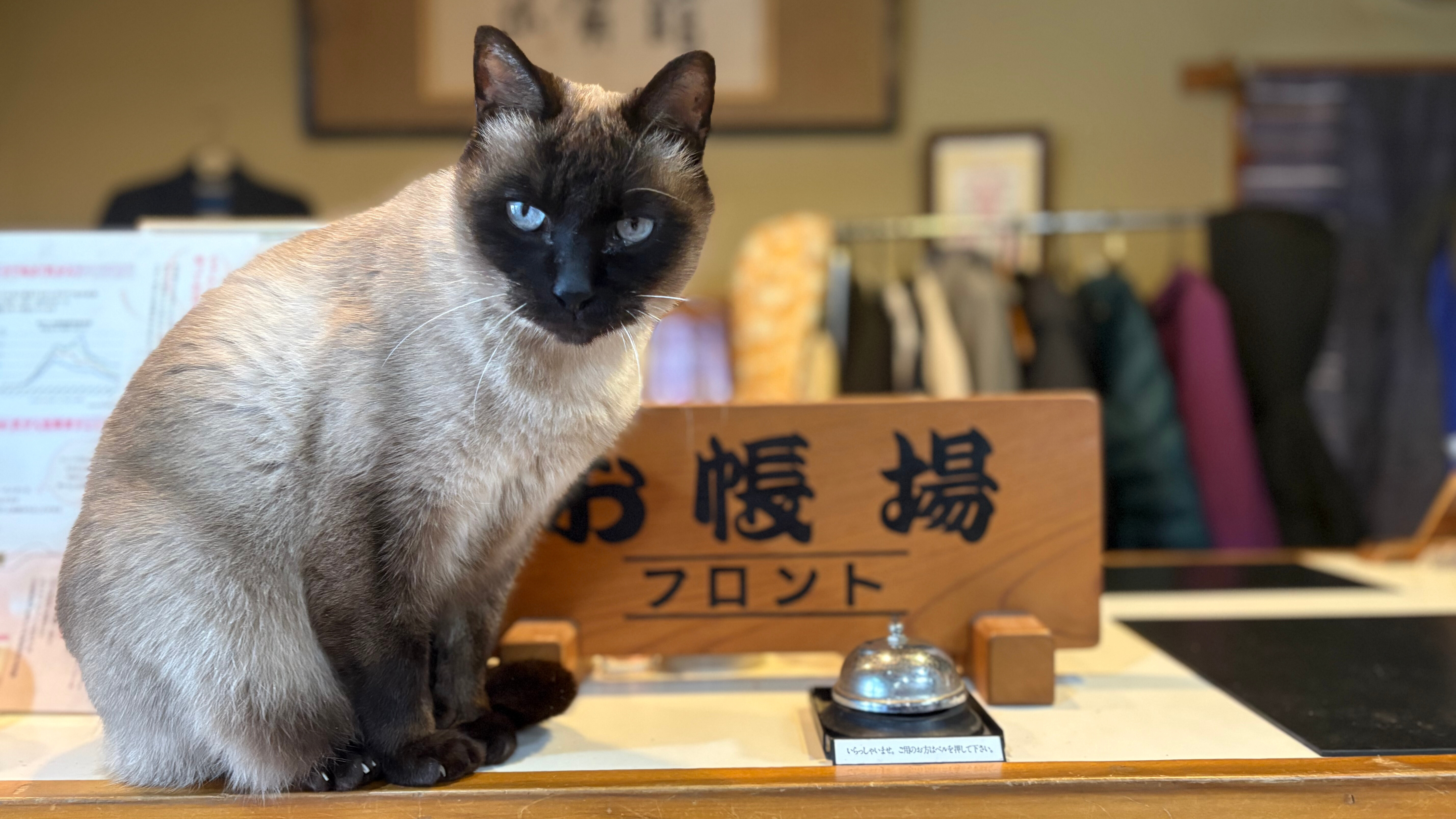 【テト】こんにちは