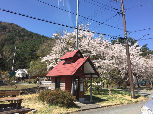 ♪ワイン＆紅茶＆ケーキ特別デイナープラン♪ワンニャンレストラン☆WiHi☆paypay