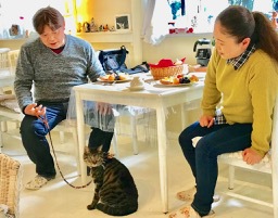 ♪ワンニャンレストラン☆夕食朝食付♪愛猫、愛犬と泊まるプラン☆ WiHi