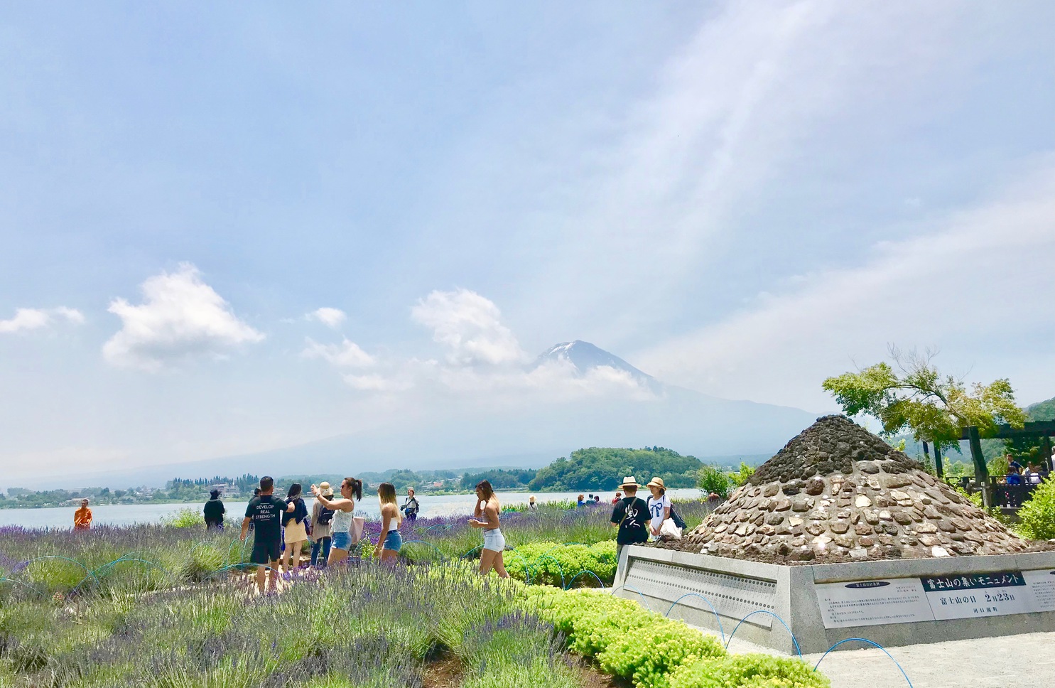 ハーブフェスティバル大石公園ラベンダーの香りと富士山がとてもいいですよ。