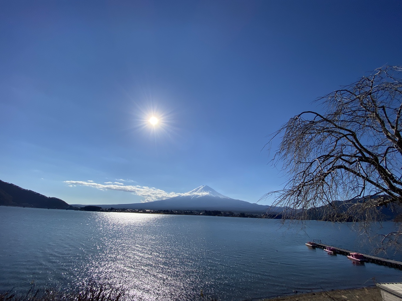 富士山猫と犬の宿は富士山の宿