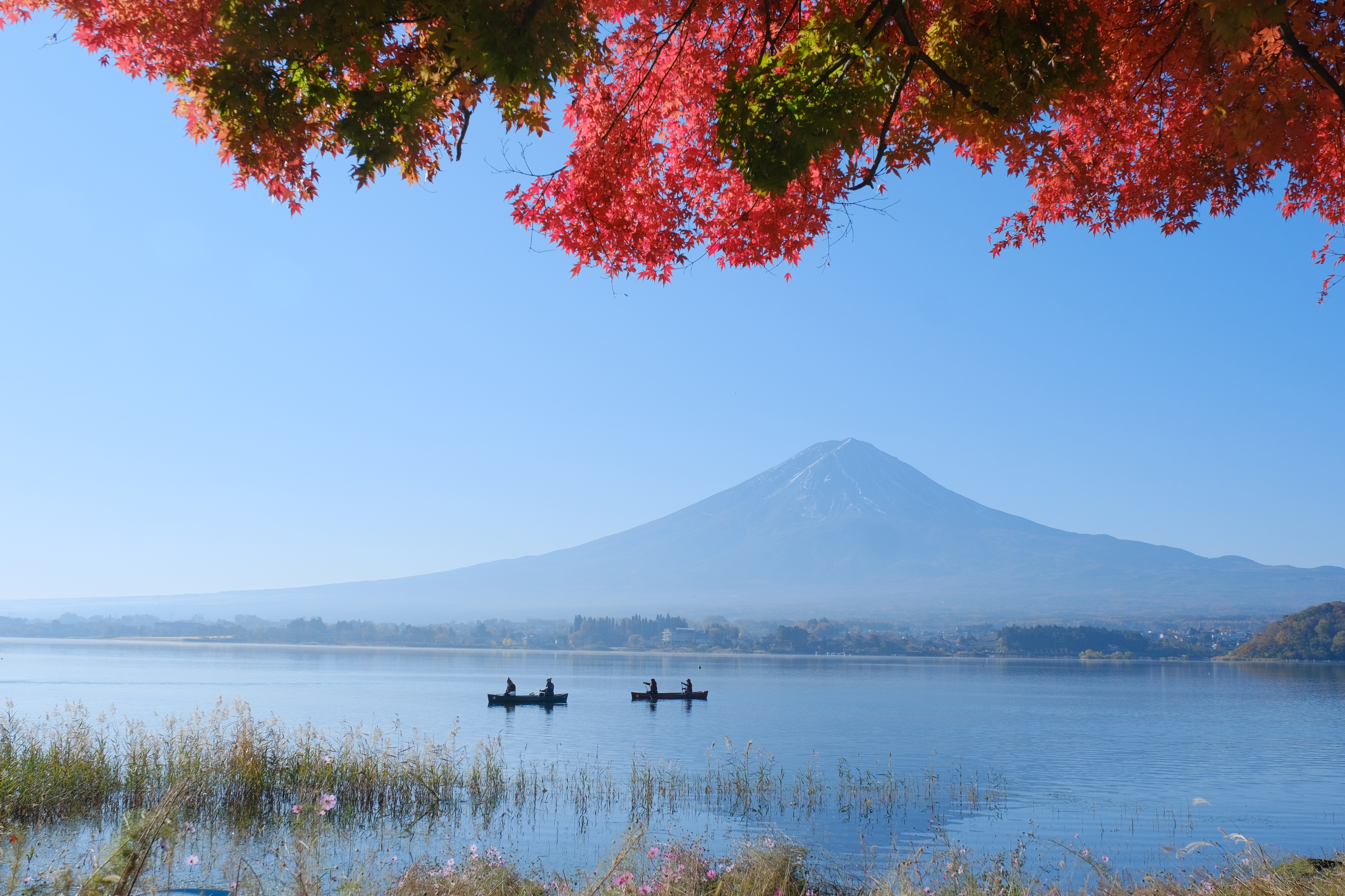 紅葉と富士山