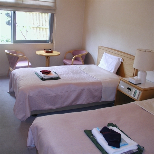 Western-style twin room (20 square meters)