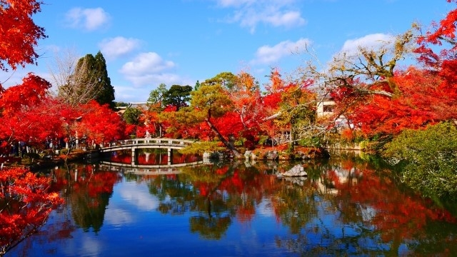 【秋旅セール】一人旅にもカップルにも♪駅近ホテルで京都の旅を楽しもう♪（素泊り）