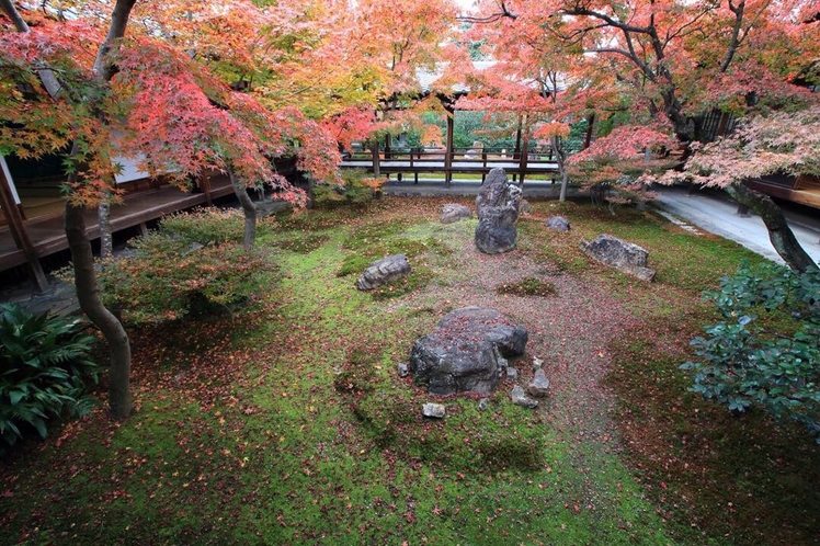 建仁寺　潮音庭（ちょうおんてい）の紅葉