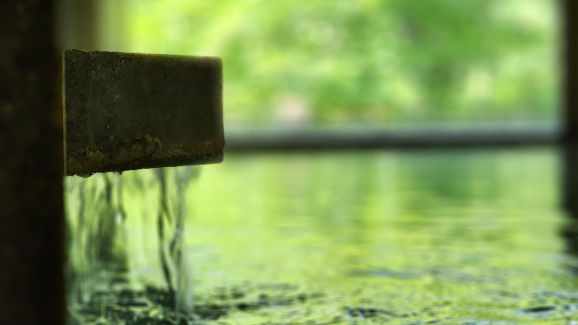 初夏の家族旅行応援♪幼児のお子様宿泊費☆無料☆温泉リゾートを満喫♪≪季-ｔｏｋｉ≫　２食付