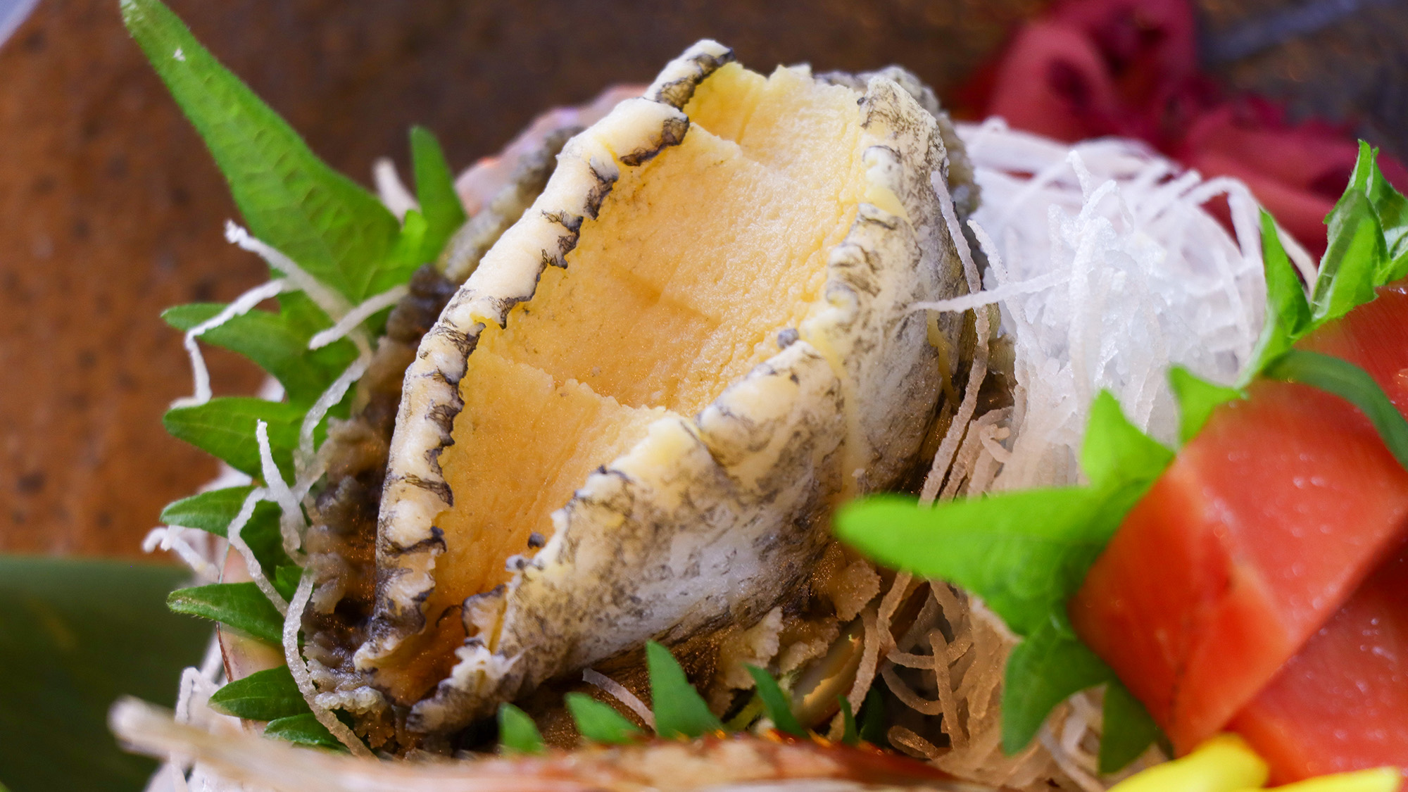 #《特別会席》2026春の特別会席