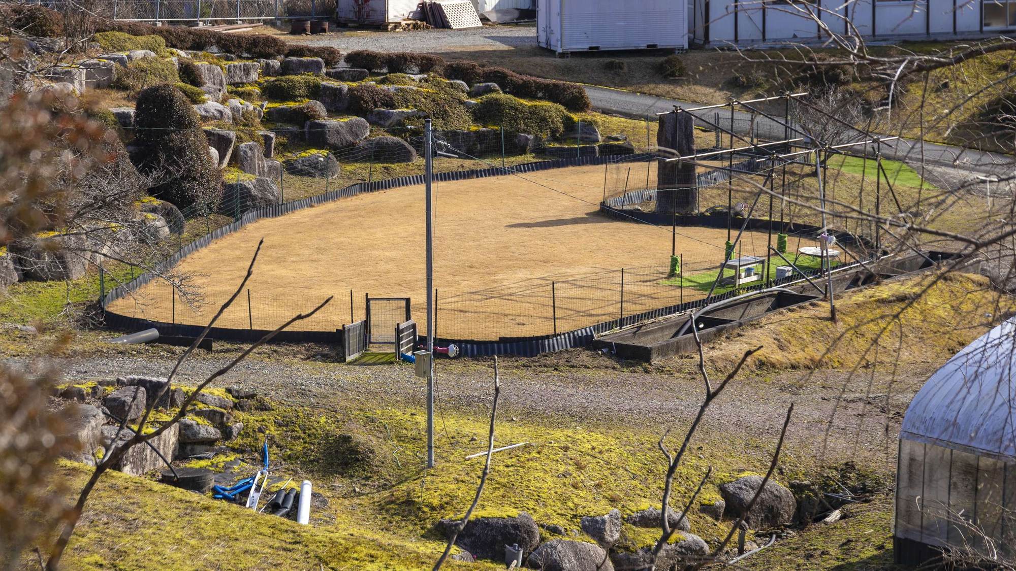 ・天然芝の屋外ドッグラン（徒歩約3分）