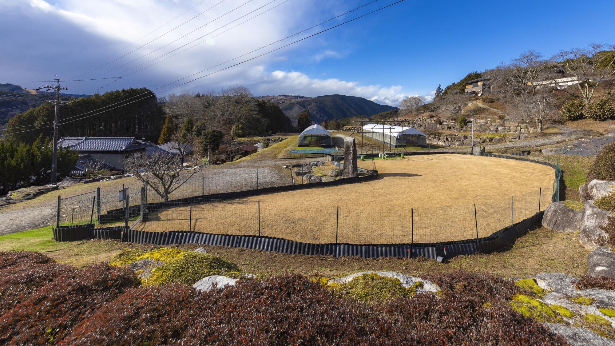 ・天然芝の屋外ドッグラン（徒歩約3分）