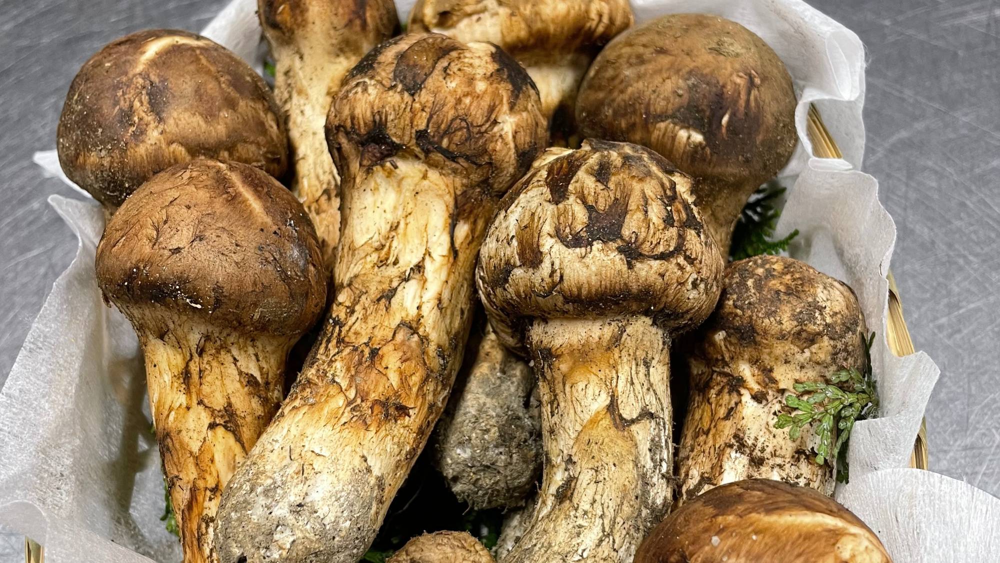 ・【季節料理一例】秋の味覚松茸フルコース