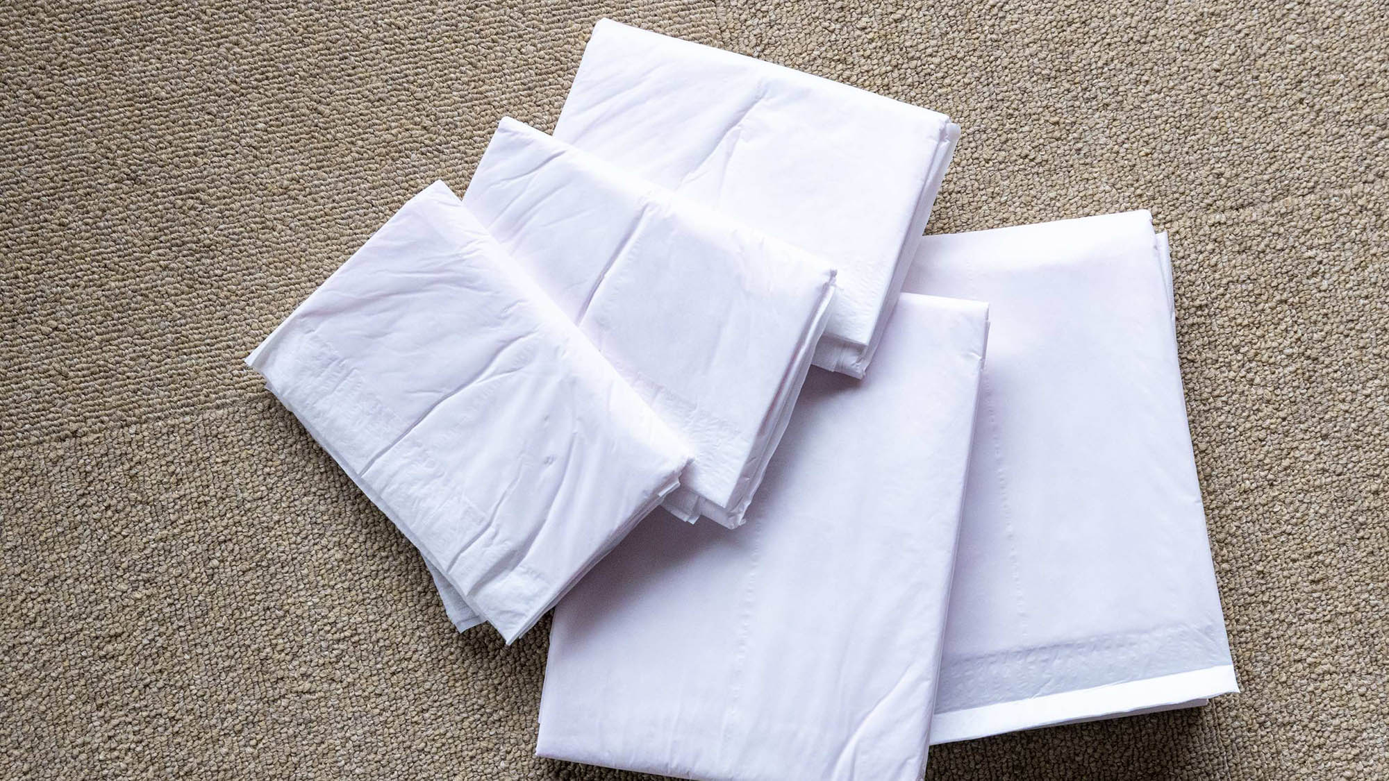 ・【ペット用備品】館内はマナーベルトの着用必須です。各サイズ100円で販売しております