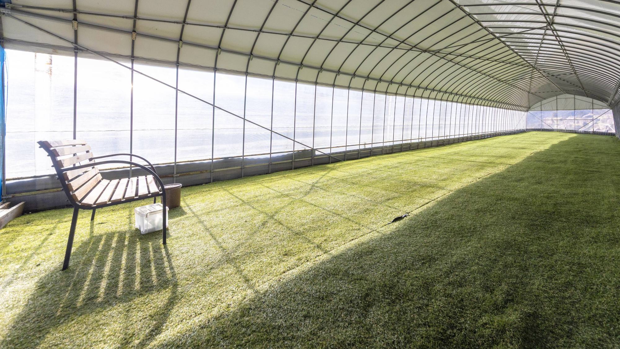 ・人工芝のハウス型ドッグラン（雨天時利用可）