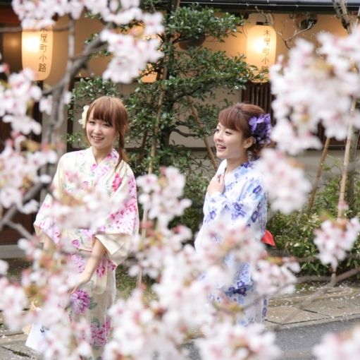 城崎温泉 お宿 白山 花まんだら 【湯亭 花のれん】 - 写真 220