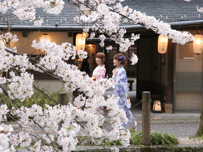 城崎温泉 お宿 白山 花まんだら 【湯亭 花のれん】 - 写真 221