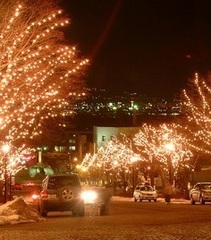 イルミネーション