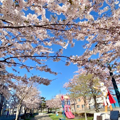 月光仮面像＆桜（ホテル駐車場裏）