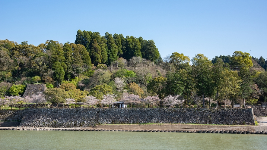 *【人吉城跡の桜】球磨川沿いの石垣沿いの桜が綺麗で毎年多くの方が訪れます♪