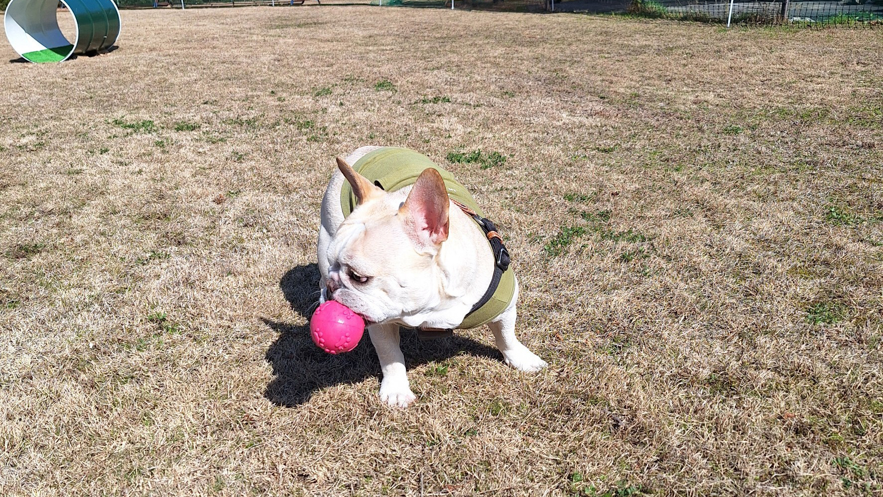 あわしまべーすで遊ぼう