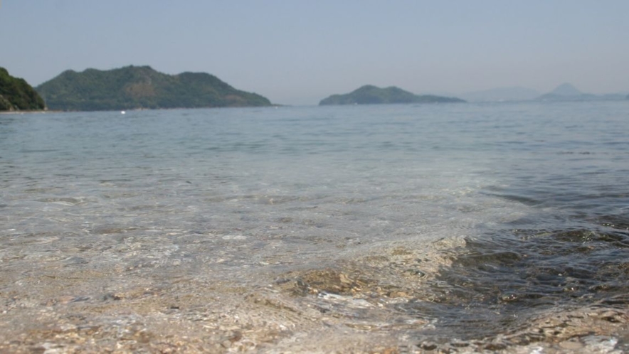 粟島の海