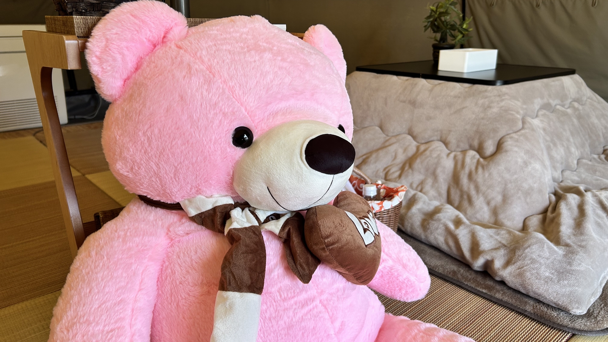 ◆セルちゃん　ナチュラルテントに新しい仲間が登場！！