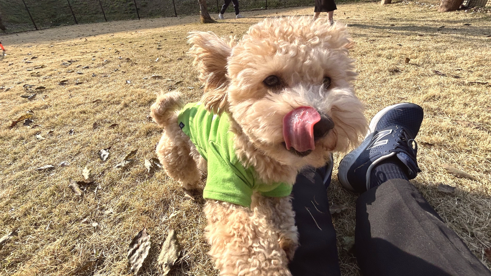 ◆ワンちゃんとのご滞在イメージ