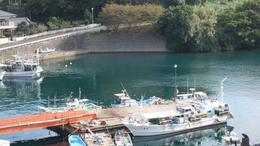 *【渡良浦の港】宿から見下ろす港は、波が穏やかなのでお子様連れの釣りにも最適です♪