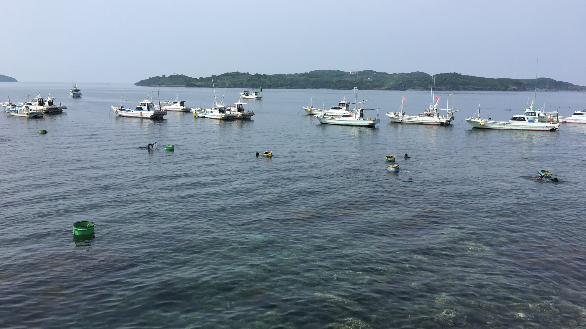 *【尼漁の様子】獲れたて新鮮な魚介類を<本物>の目で選び抜きます。