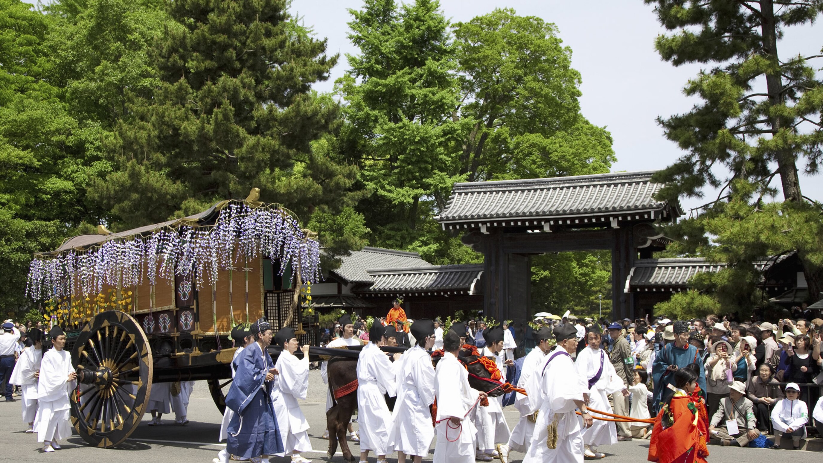 葵祭／爽やかな初夏の京都を優雅な行列で彩ります。下鴨神社と上賀茂神社の例祭です。