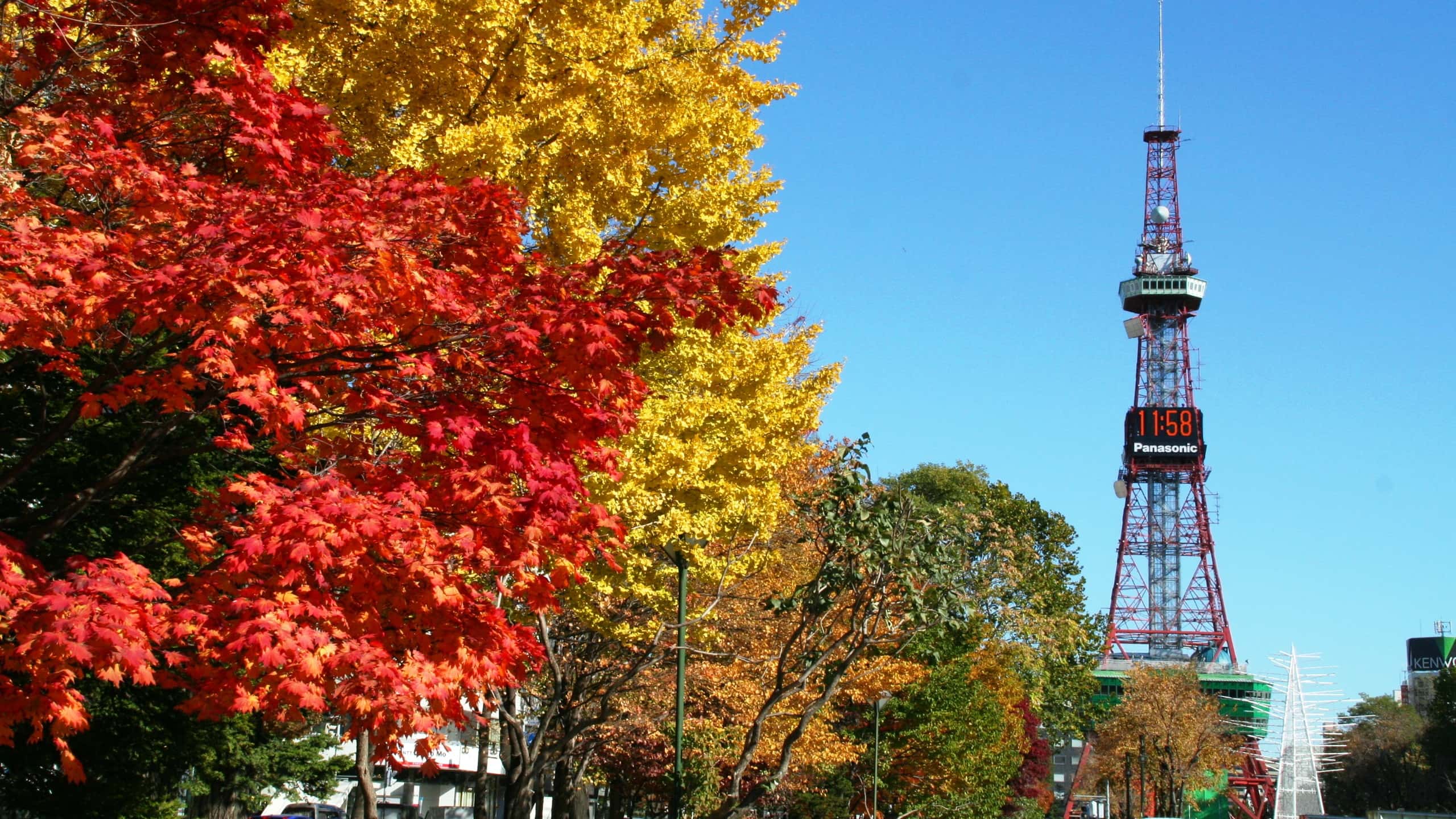 大通公園～紅葉～