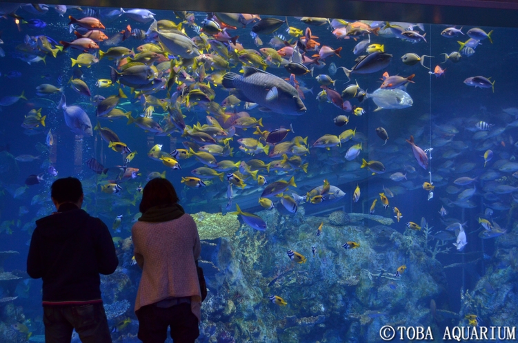 【鳥羽水族館】飼育種類数日本一！