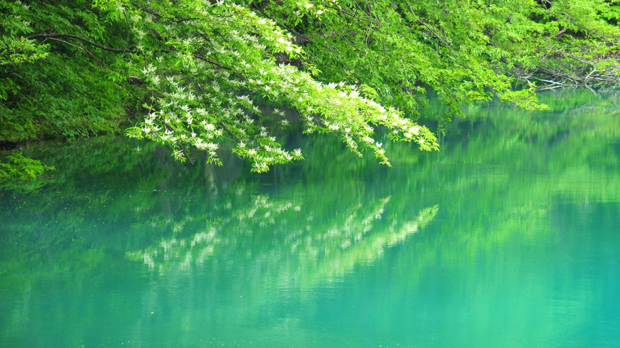 初夏の五色沼