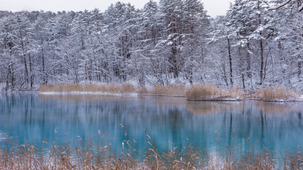 ≪素泊まり≫裏磐梯の自然をとことん満喫！旅の拠点にぜひご利用ください♪