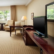 アナハイム マジェスティック ガーデン ホテル Anaheim Majestic Garden Hotel 写真 動画 楽天トラベル