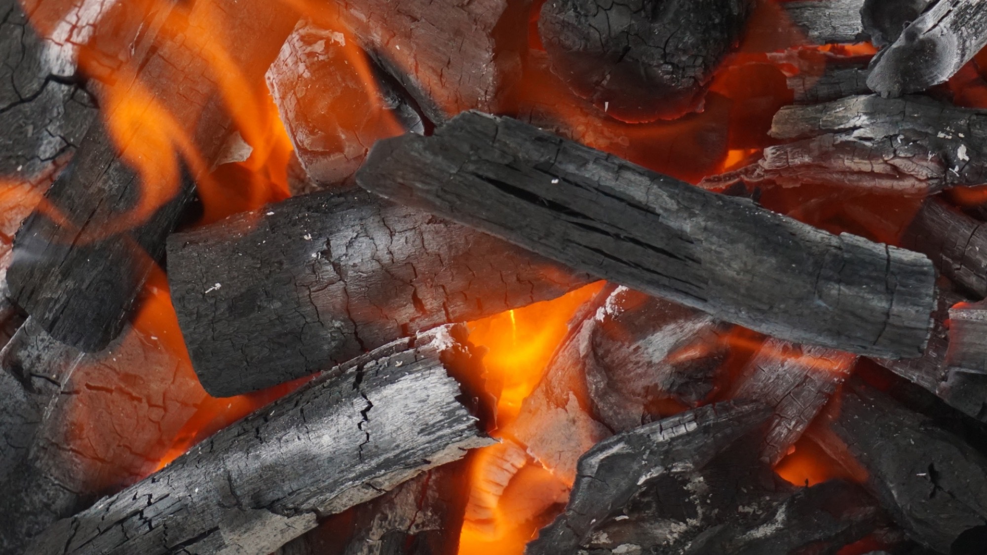 【楽天限定】×【中蟹】漁師亭主が選定 ”0.8キロ級” の中蟹｜囲炉裏かにコース 1.5杯