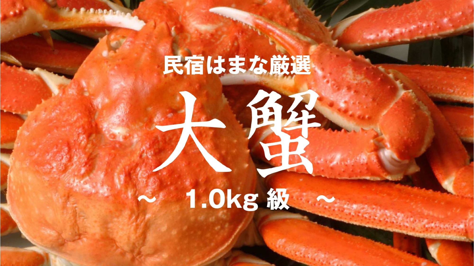 【大蟹】漁師亭主が選定 ”1.0キロ級” の大蟹｜民宿の大盤振る舞い｜囲炉裏かにコース 1.5杯