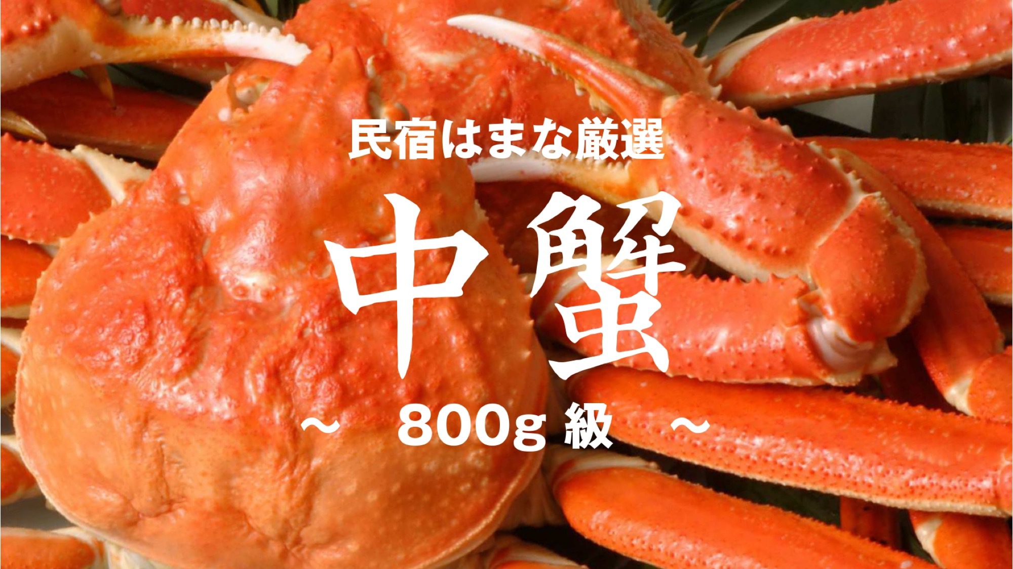 【楽天限定】×【中蟹】漁師亭主が選定 ”0.8キロ級” の中蟹｜囲炉裏かにコース 1.5杯