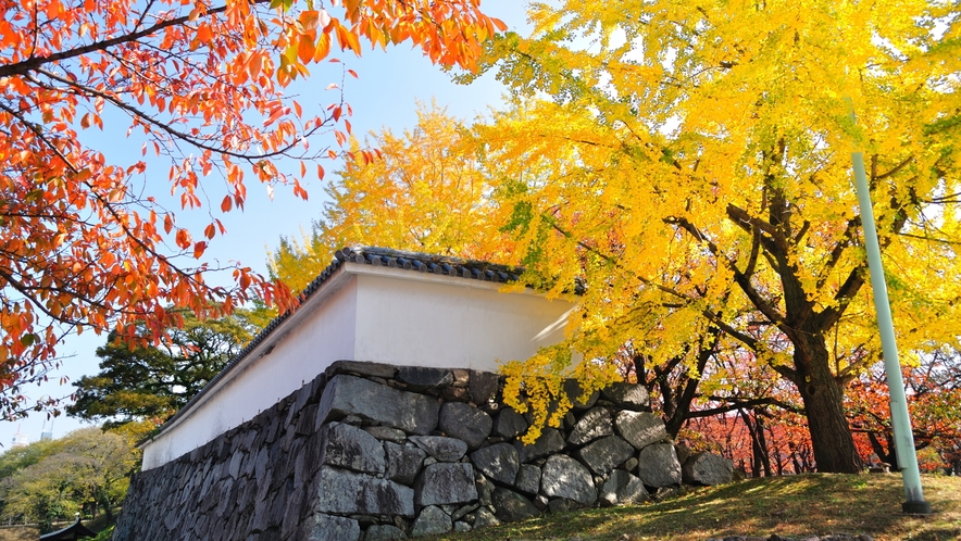 福岡城跡の紅葉 →車14分/地下鉄24分 [写真提供：福岡市]