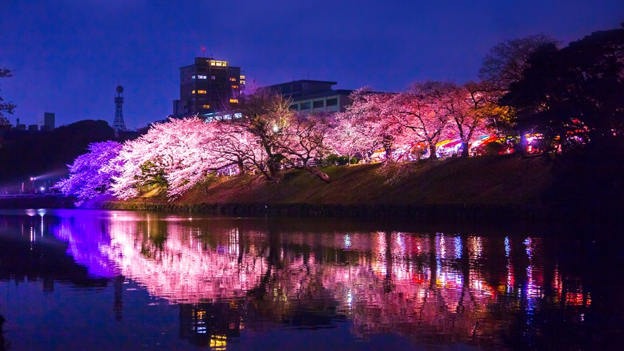 舞鶴公園の桜(ライトアップ) →車13分/地下鉄16分 [写真提供：福岡県観光連盟]