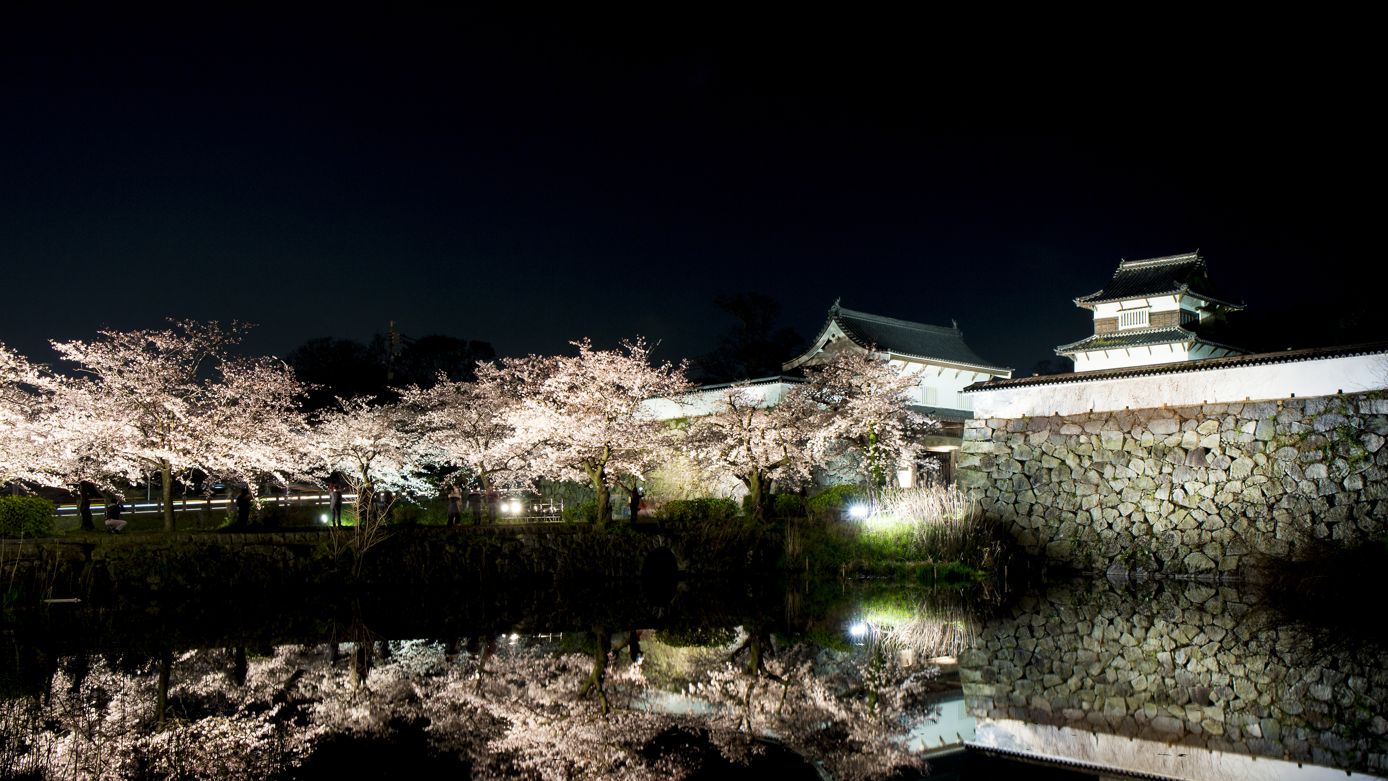 福岡城跡の桜(ライトアップ) →車14分/地下鉄24分 [写真提供：福岡県観光連盟]