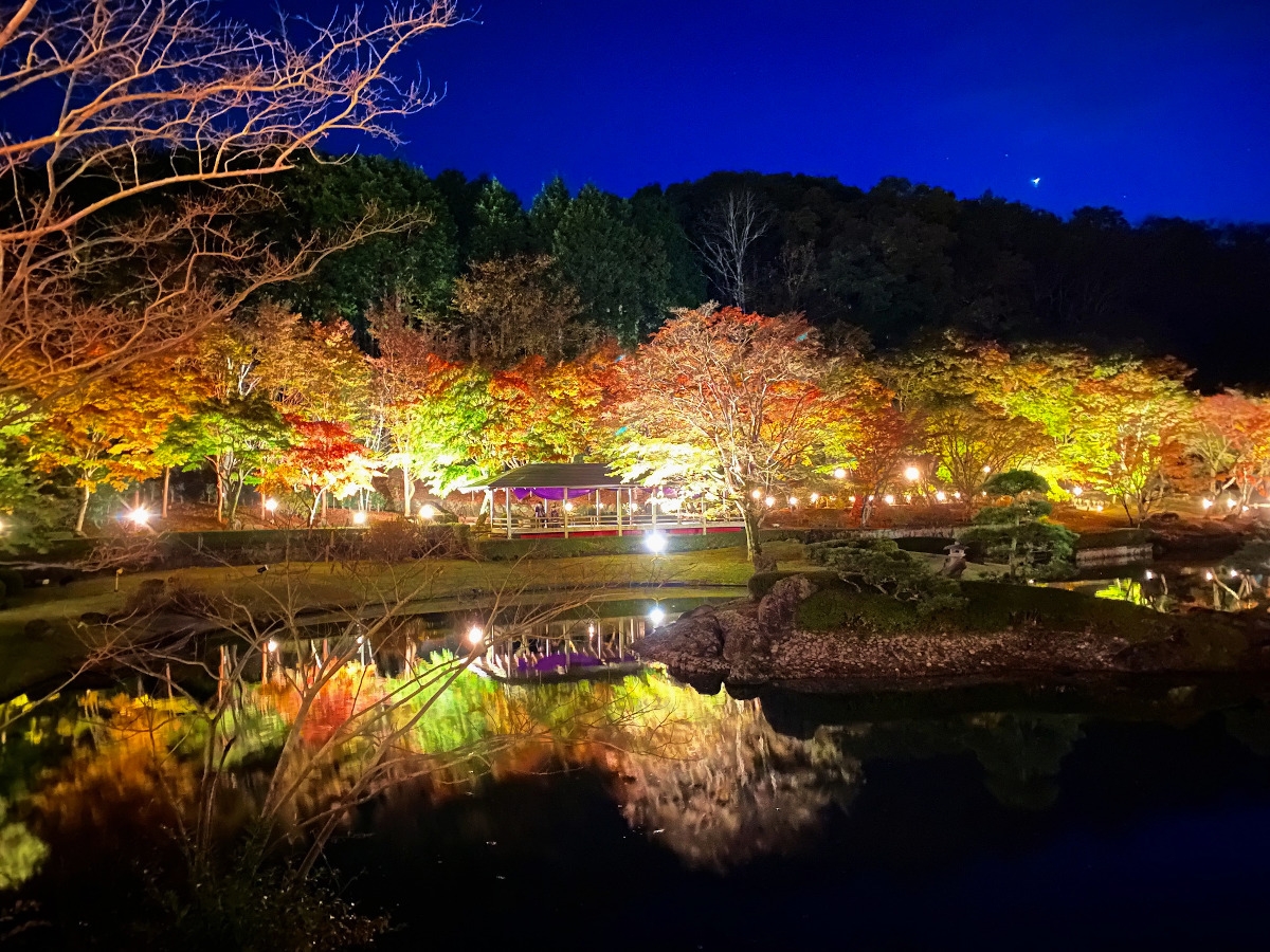 伊豆の紅葉を見に行こう！１泊２食付バイキング＆アルコールも飲み放題
